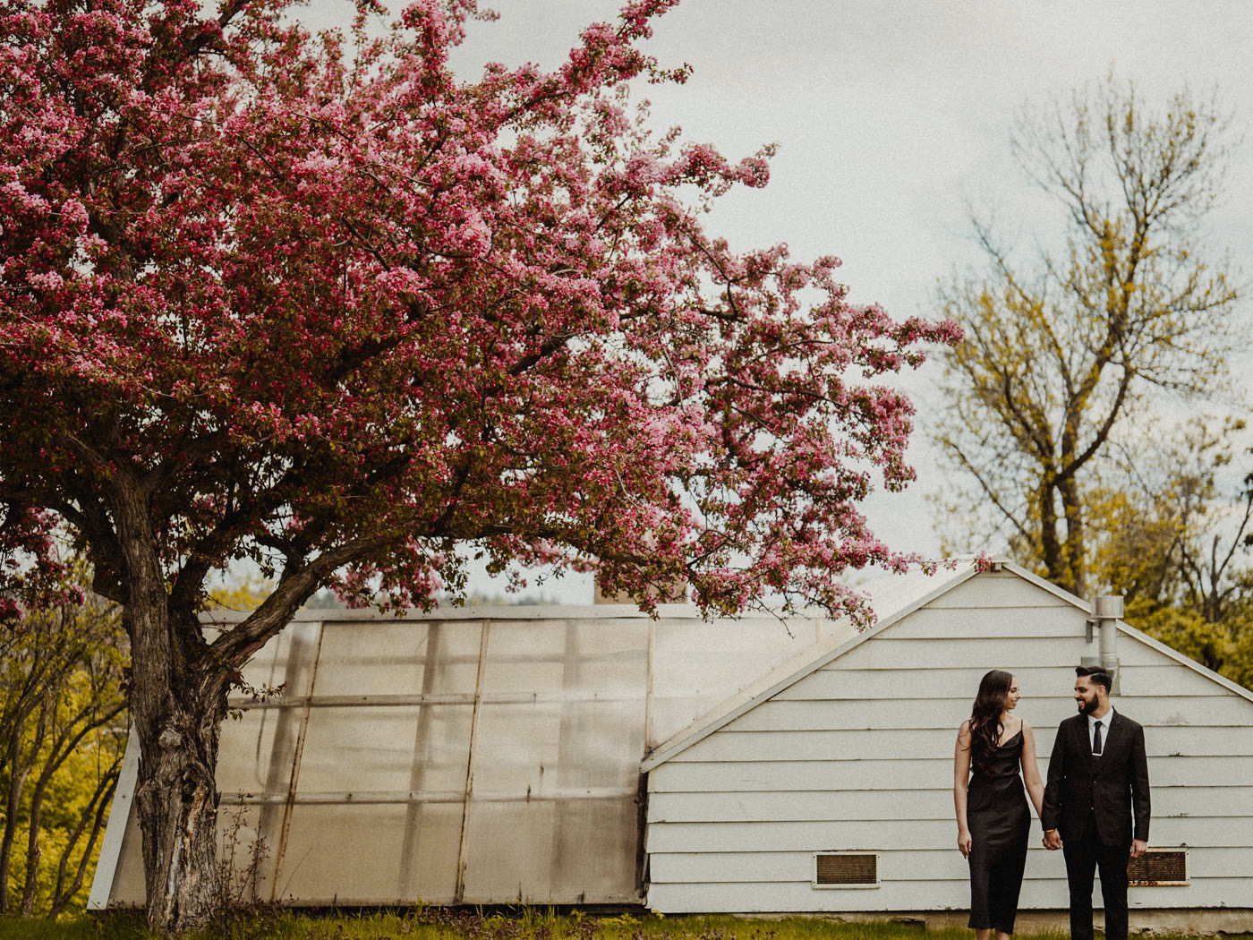 Cherry blossom season special — Edmonton wedding photography blog by MH Photography