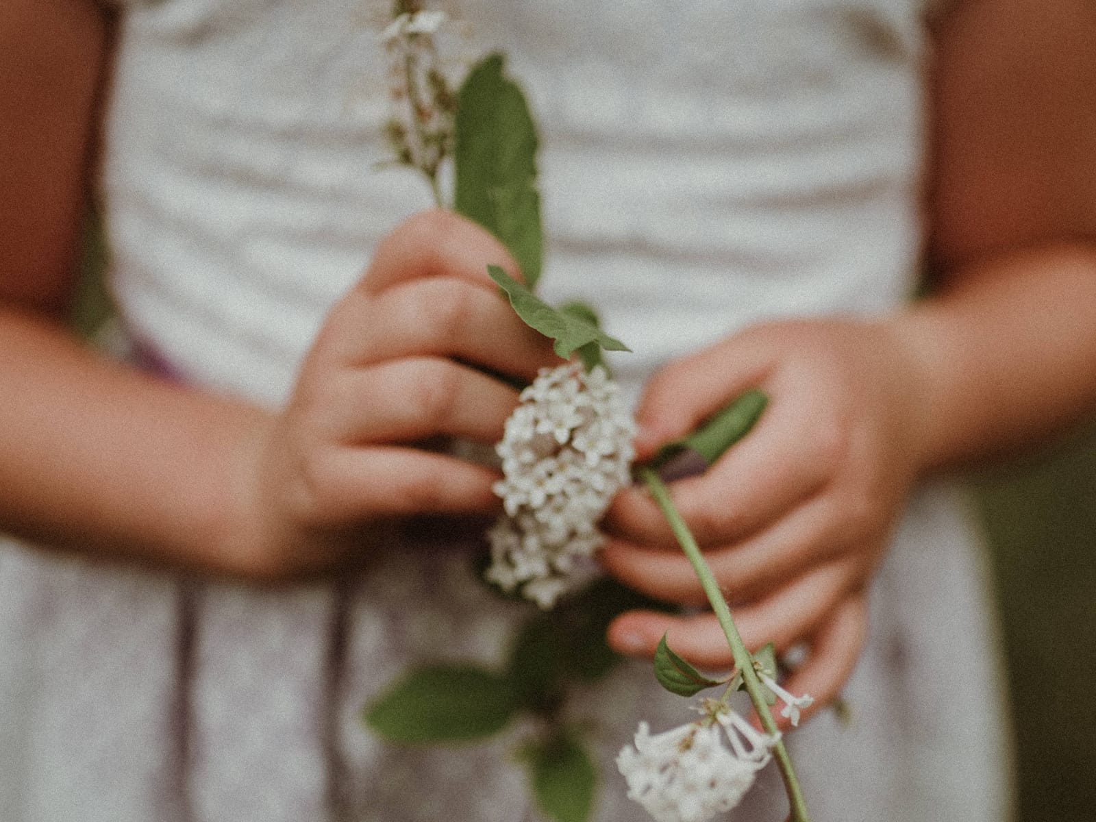 Family photography Edmonton — DSC04347