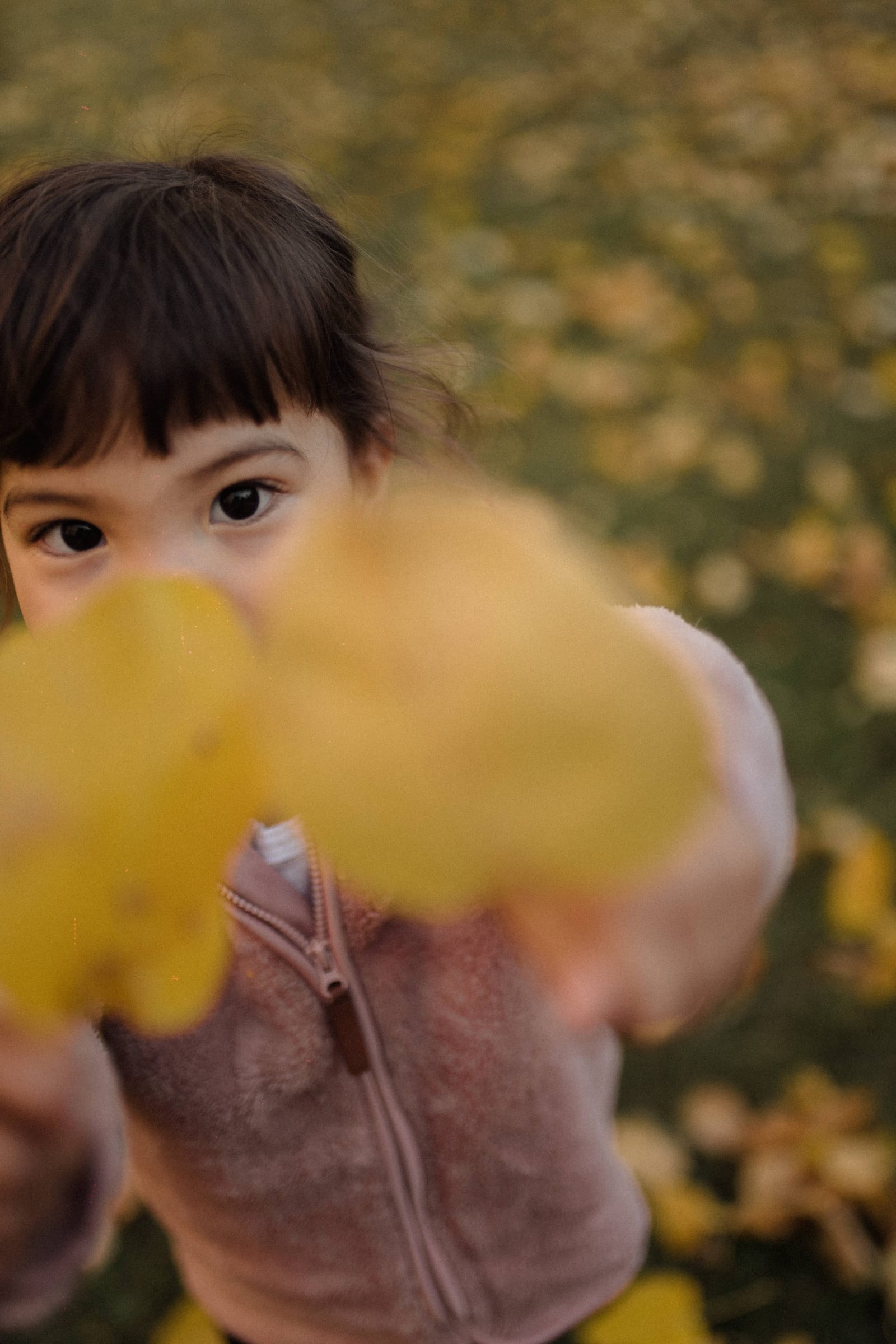 Family photography Edmonton — fall family session