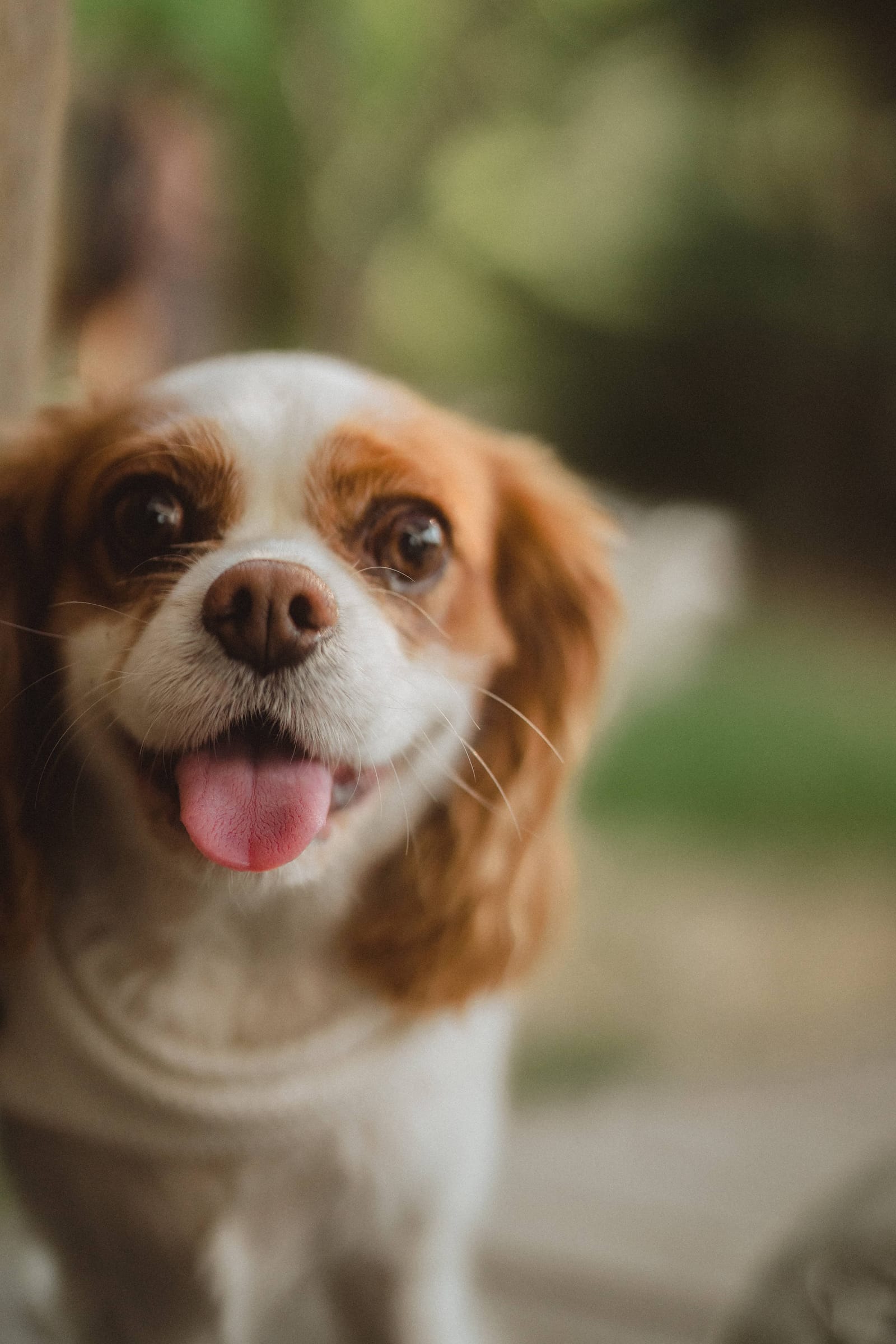 Edmonton family photography by MH Photography