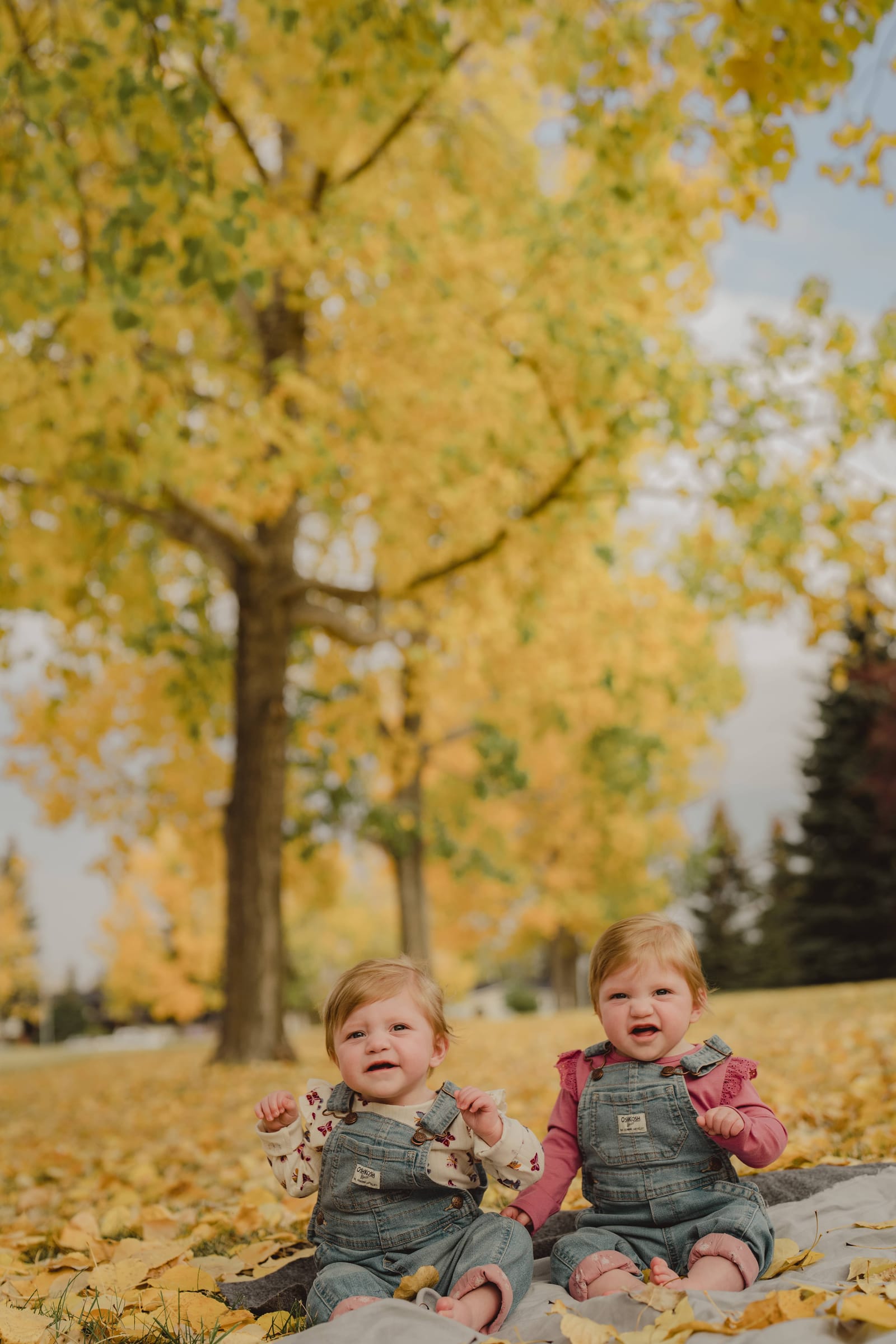 Family photography Edmonton — family laughing together