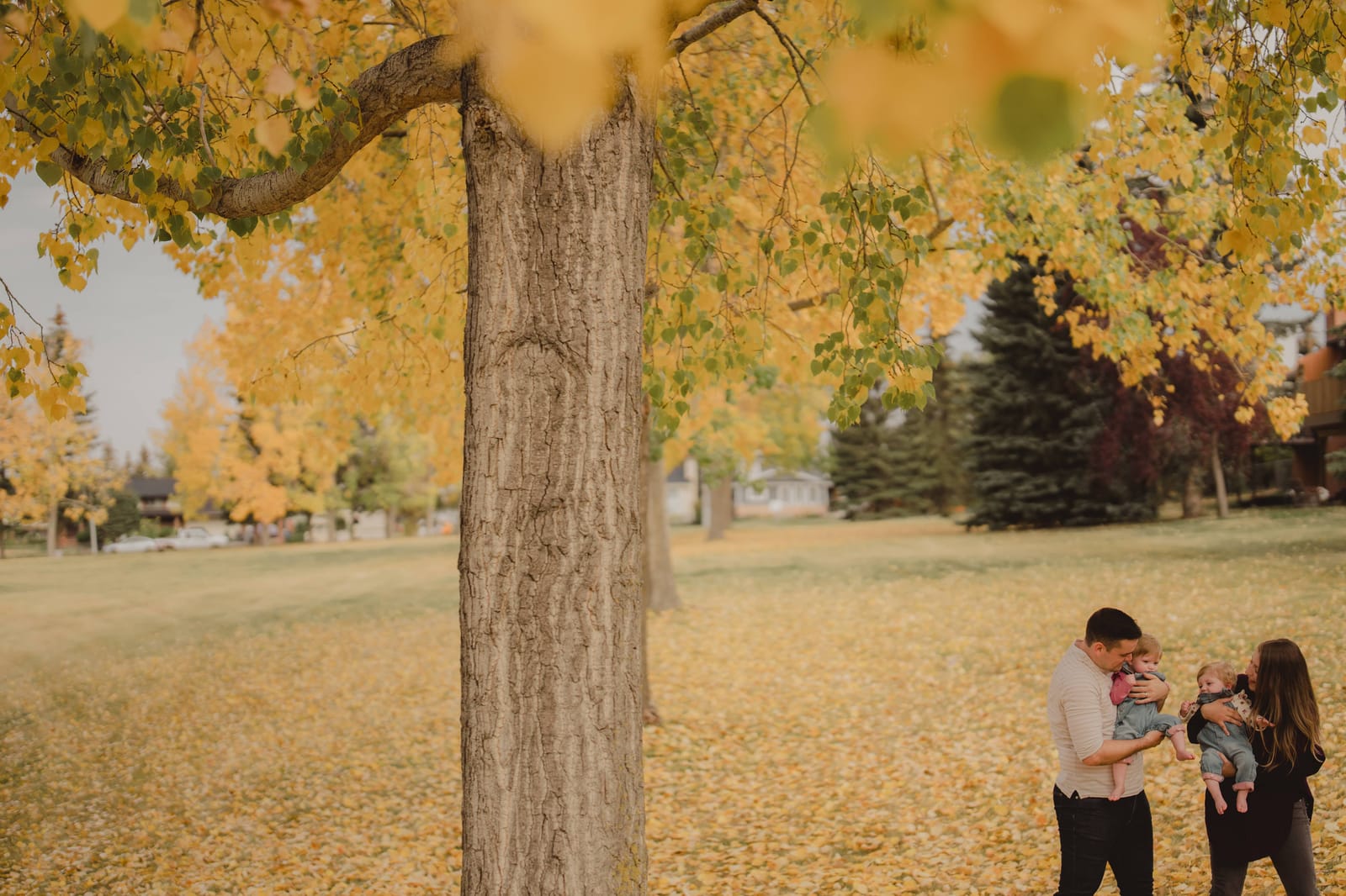 Family photography Edmonton — family group photo