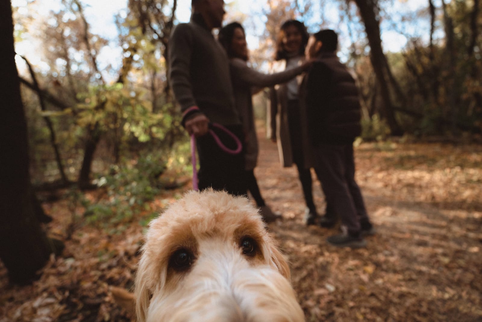 Edmonton family photography by MH Photography