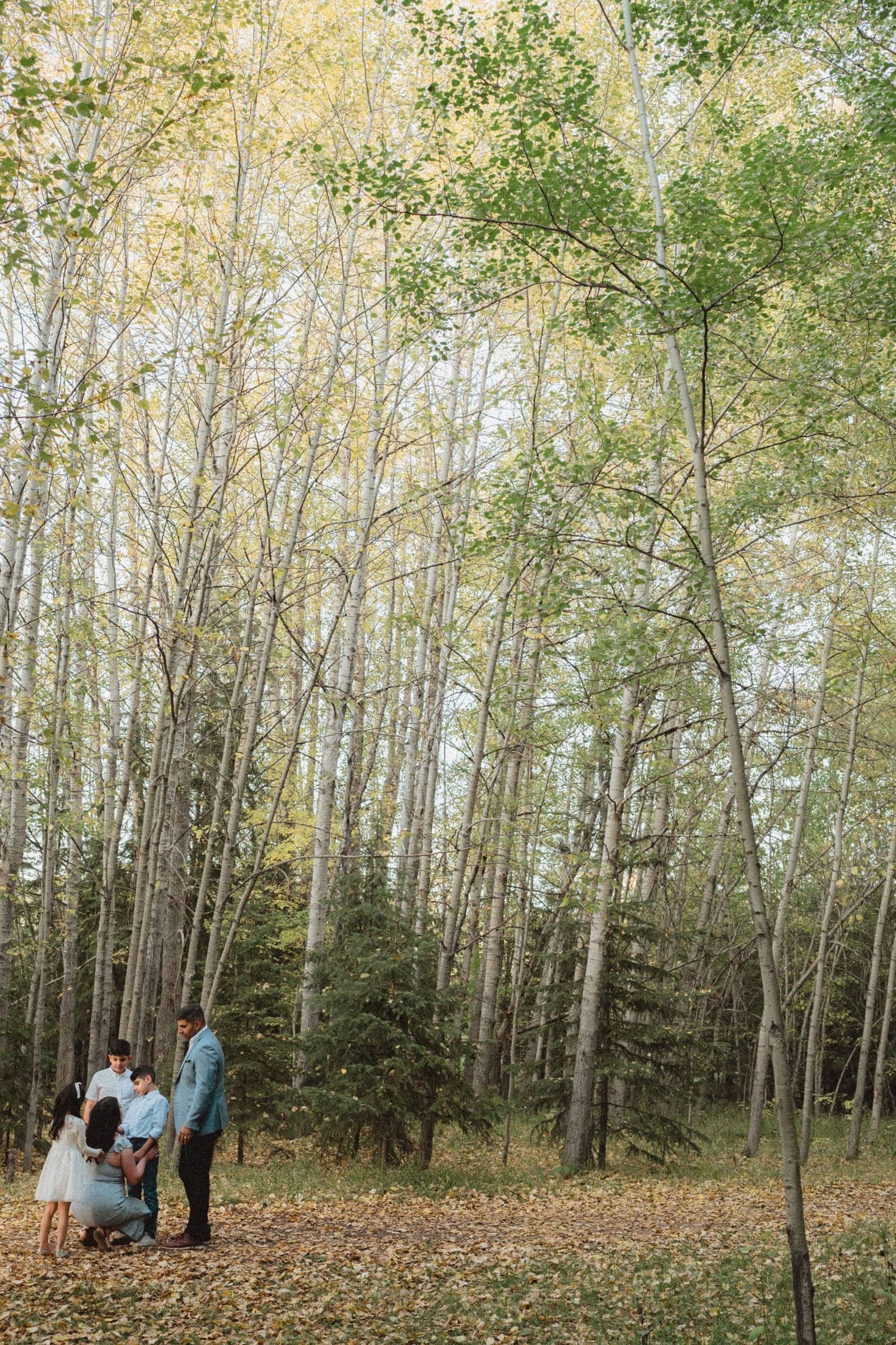 Family photography Edmonton — edmonton family lifestyle photography