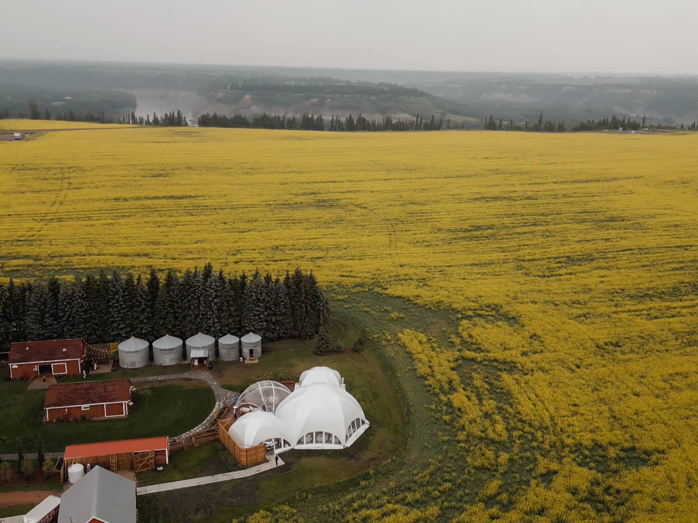 Indian wedding photography Edmonton — bridal jewelry