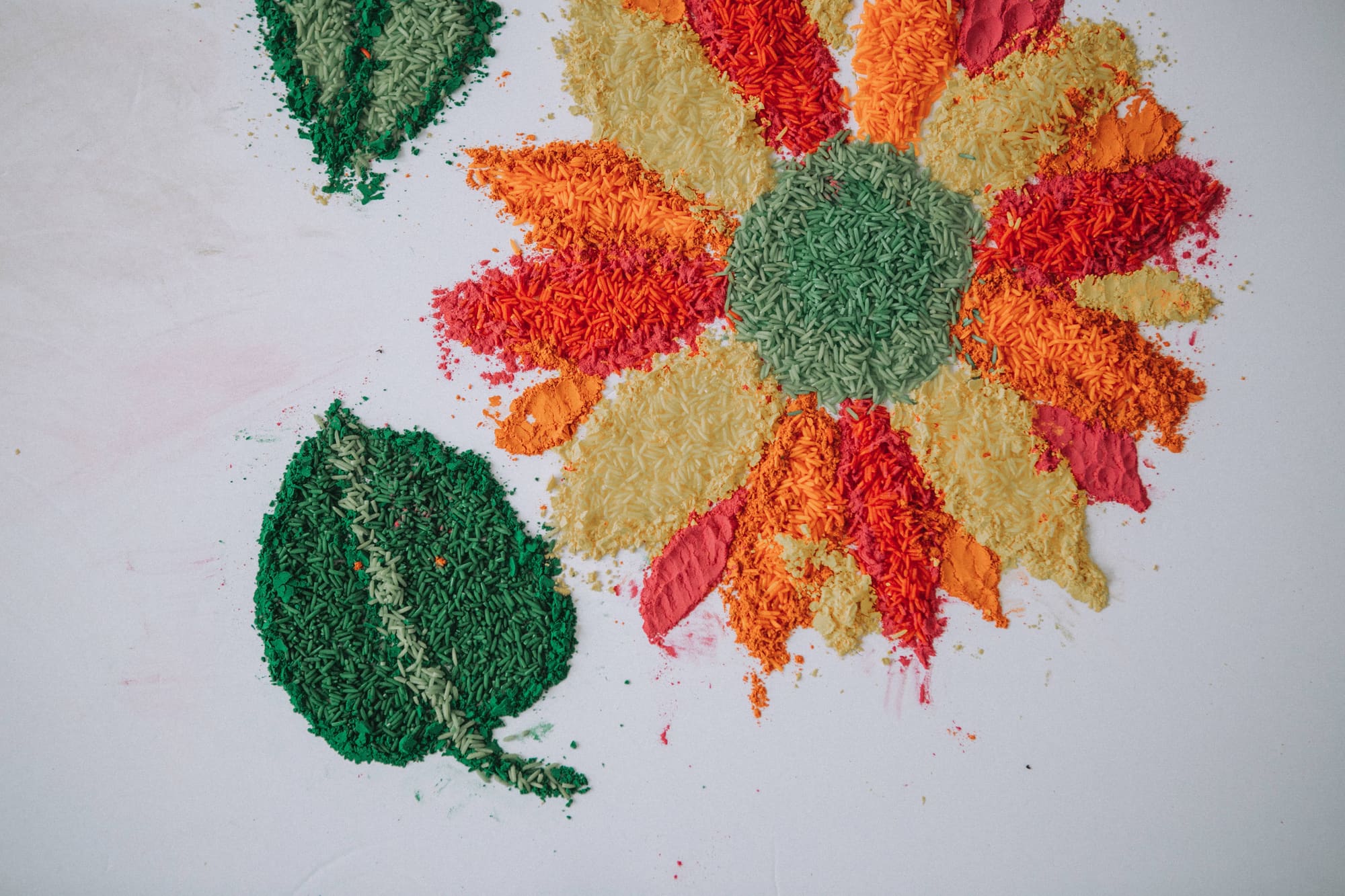 Indian wedding photography Edmonton — bridal portrait