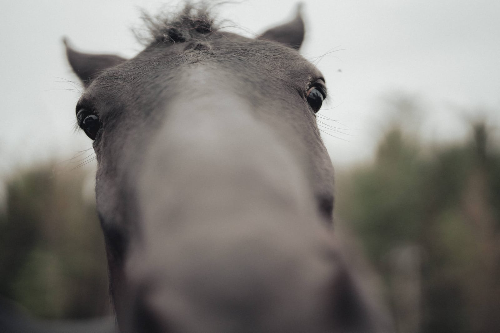 Edmonton wedding photography — first dance