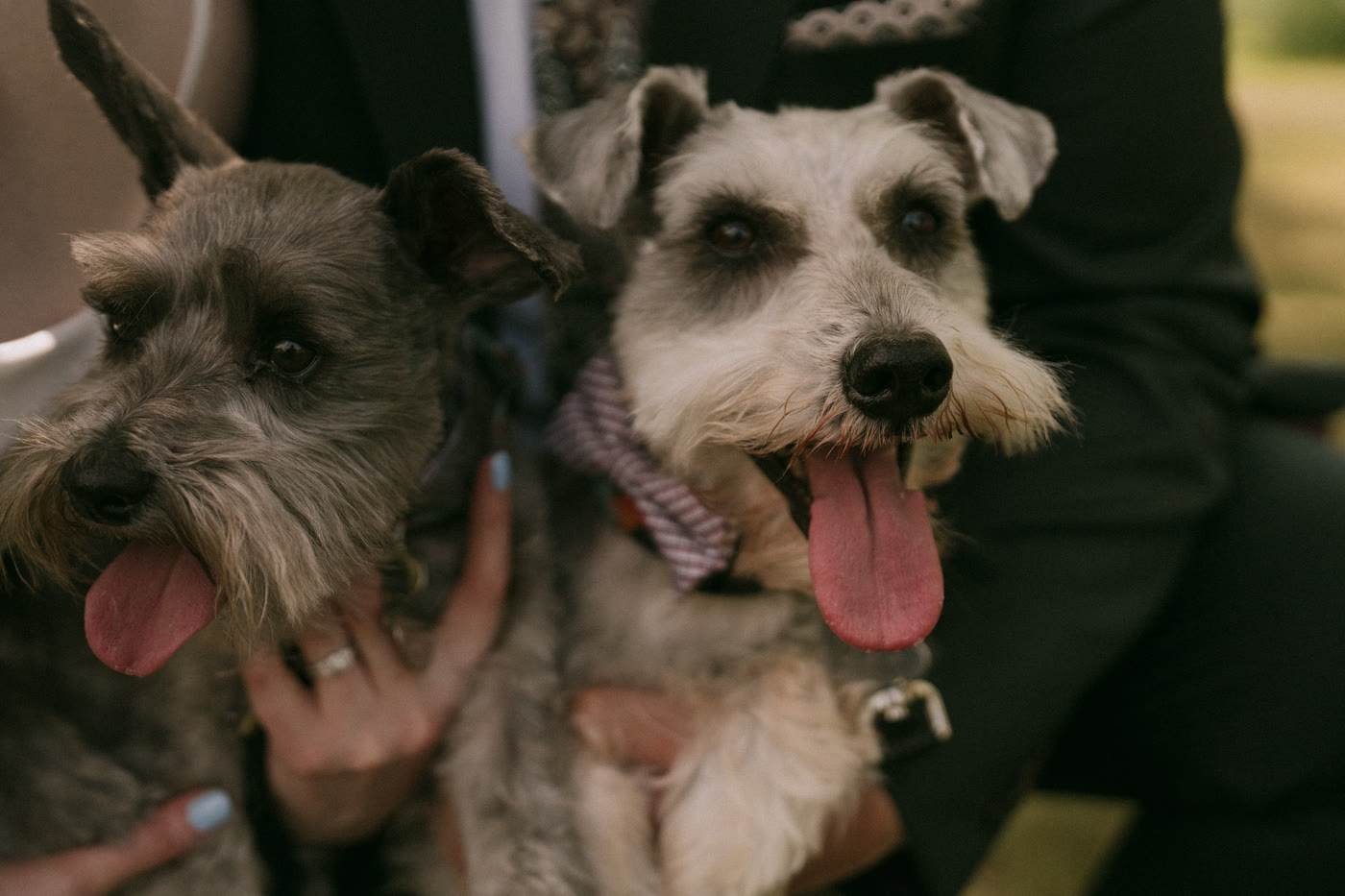 Hiring a Wedding Photographer — Edmonton wedding photography blog by MH Photography