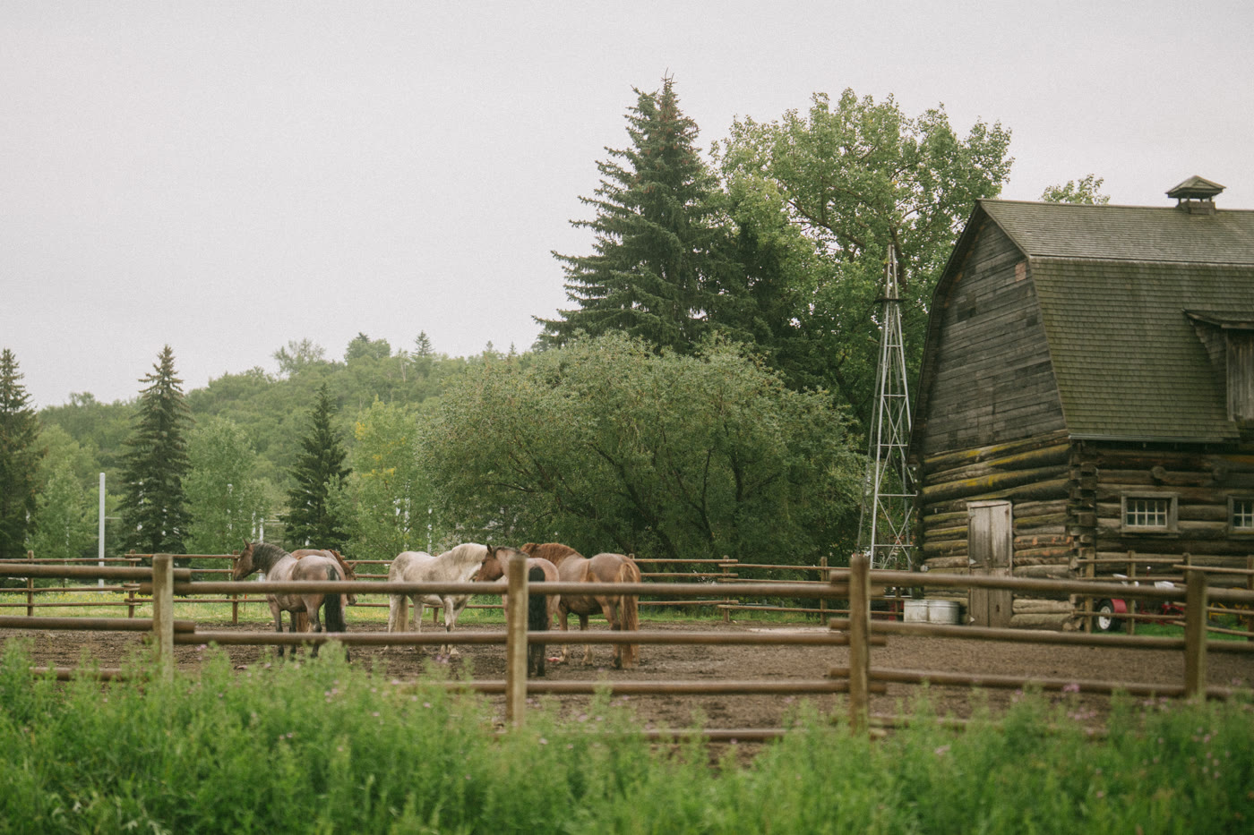 Ideas for memorable wedding photography — Edmonton wedding photography blog by MH Photography